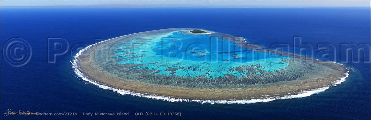 Peter Bellingham Photography Lady Musgrave Island - QLD (PBH4 00 18356)